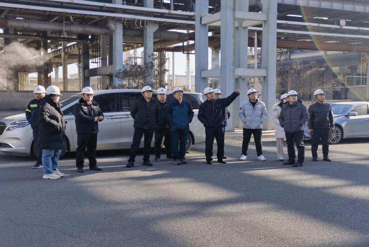 b9e9ee1a-d218-11ef-a038-d46abe133a8a.jpg b9e9ee1a-d218-11ef-a038-d46abe133a8a.jpg